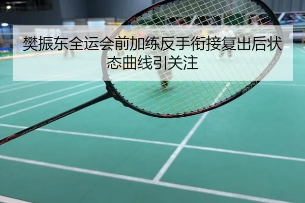 樊振东全运会前加练反手衔接复出后状态曲线引关注